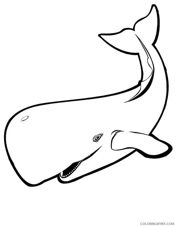 Whale Coloring Pages Animal Printable Sheets whale sheets for kids 2021 5000 Coloring4free