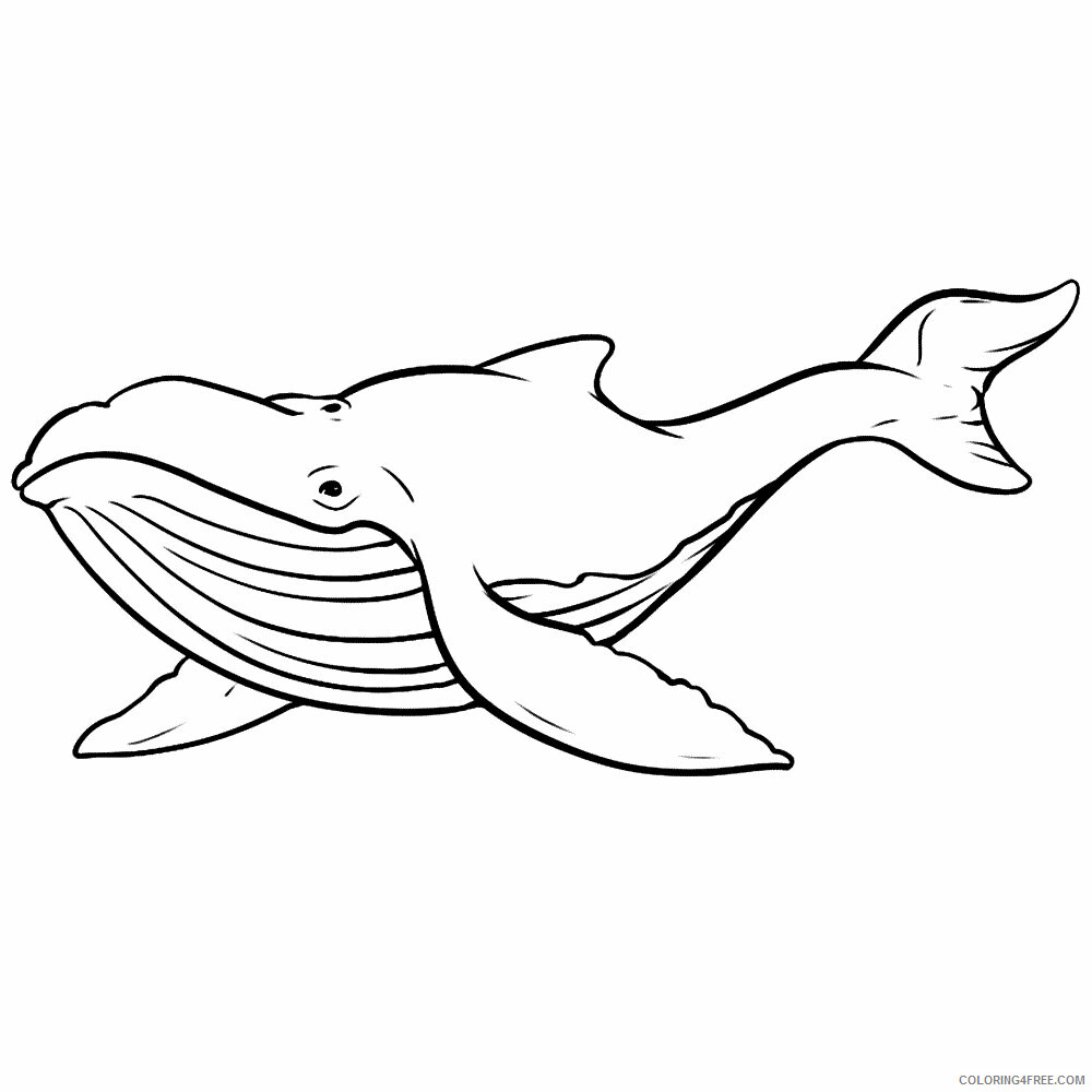 Whale Coloring Sheets Animal Coloring Pages Printable 2021 4521 Coloring4free
