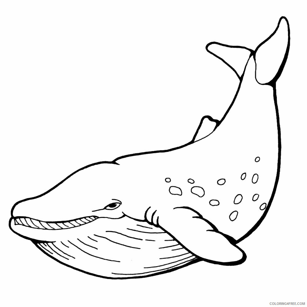 Whale Coloring Sheets Animal Coloring Pages Printable 2021 4525 Coloring4free