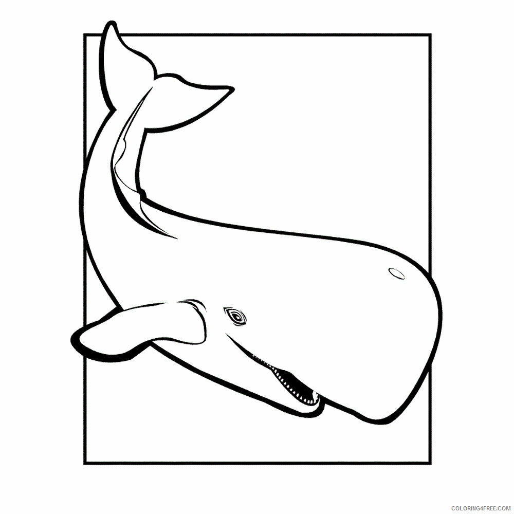 Whale Coloring Sheets Animal Coloring Pages Printable 2021 4528 Coloring4free