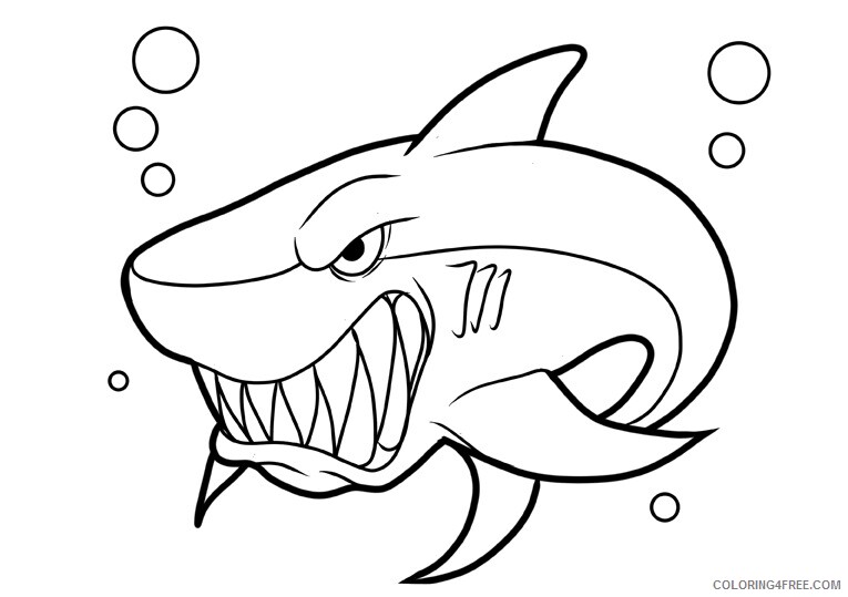 Whale Coloring Sheets Animal Coloring Pages Printable 2021 4533 Coloring4free