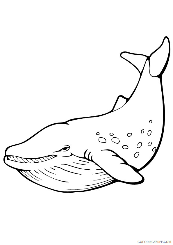 Whale Coloring Sheets Animal Coloring Pages Printable 2021 4544 Coloring4free