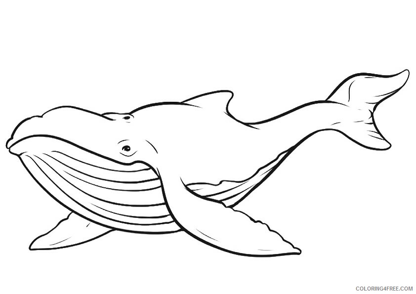 Whale Coloring Sheets Animal Coloring Pages Printable 2021 4552 Coloring4free