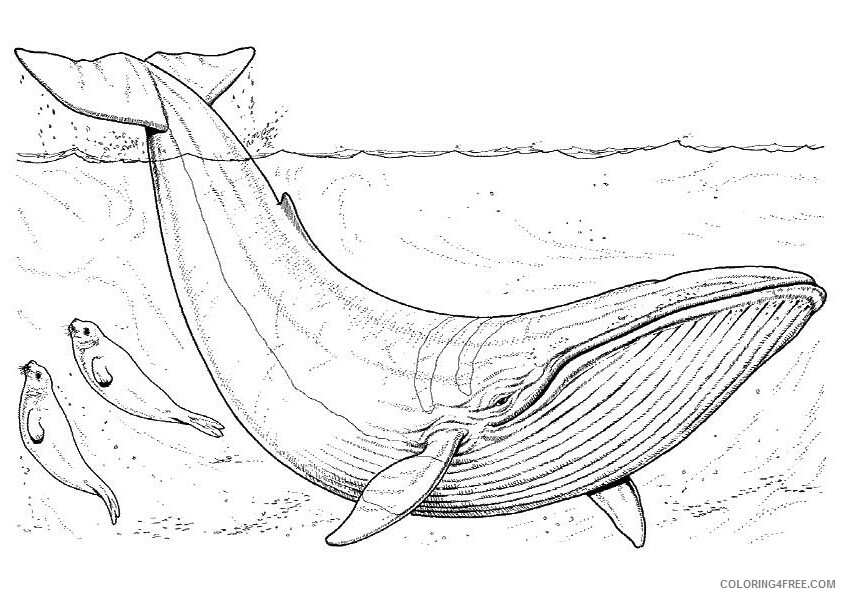 Whale Coloring Sheets Animal Coloring Pages Printable 2021 4559 Coloring4free