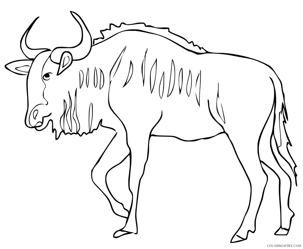 Wildebeest Coloring Pages Animal Printable Sheets Blue Wildebeest 2021 5027 Coloring4free