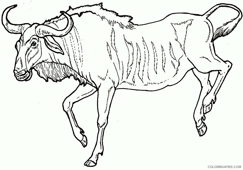 Wildebeest Coloring Pages Animal Printable Sheets Wildebeest to Print 2021 5034 Coloring4free