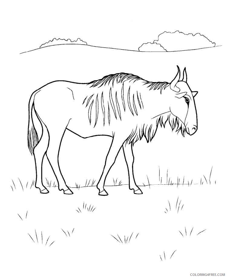 Wildebeest Coloring Pages Animal Printable Sheets wildebeest antelope 2021 5031 Coloring4free