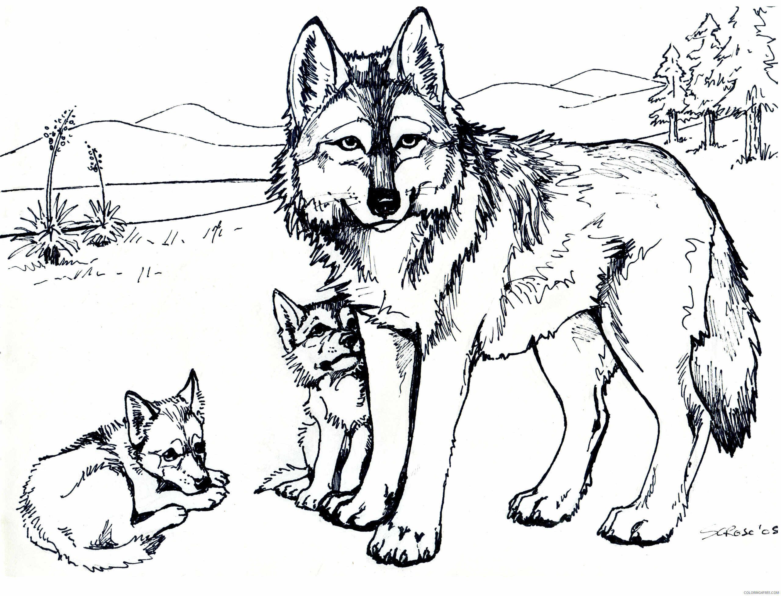 Wolf Coloring Pages Animal Printable Sheets Clawdeen Wolf 2021 5042 Coloring4free