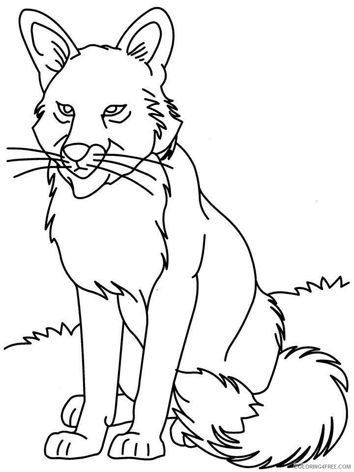 Wolf Coloring Pages Animal Printable Sheets Grey Wolf 2021 5052 Coloring4free