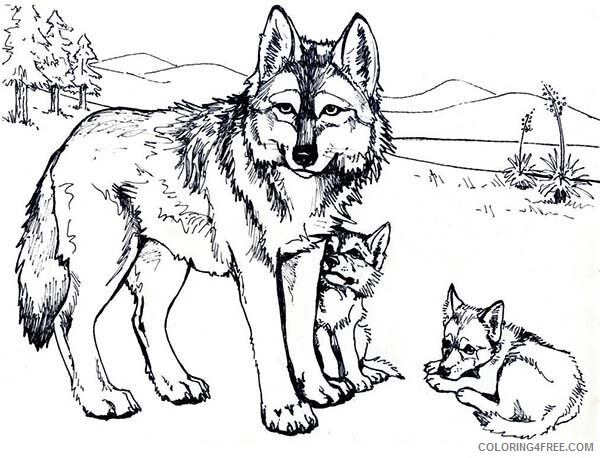 Wolf Coloring Pages Animal Printable Sheets Wolf Free 2021 5068 Coloring4free