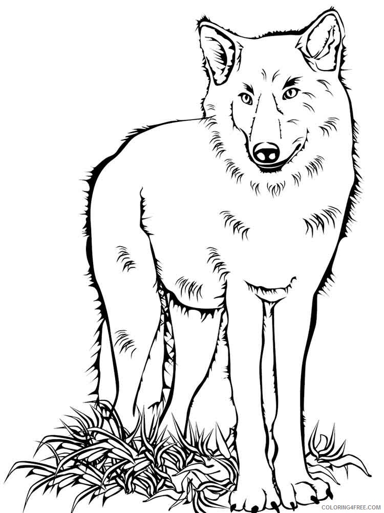 Wolf Coloring Pages Animal Printable Sheets animals wolf 6 2021 5044 Coloring4free