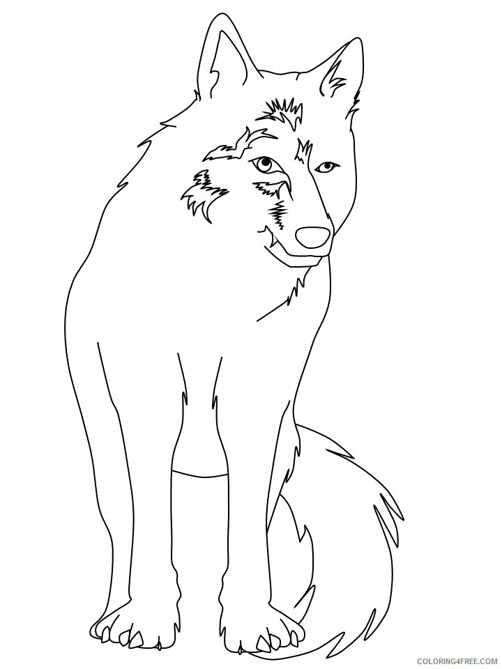 Wolf Coloring Pages Animal Printable Sheets wolf9 2021 5065 Coloring4free