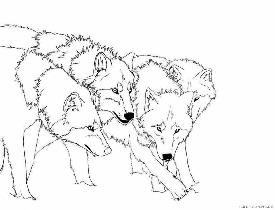Wolf Coloring Sheets Animal Coloring Pages Printable 2021 4599 Coloring4free