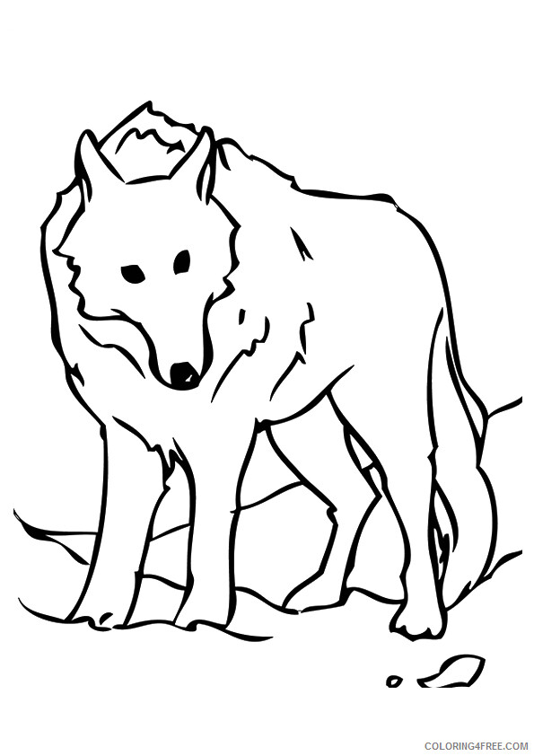 Wolf Coloring Sheets Animal Coloring Pages Printable 2021 4603 Coloring4free