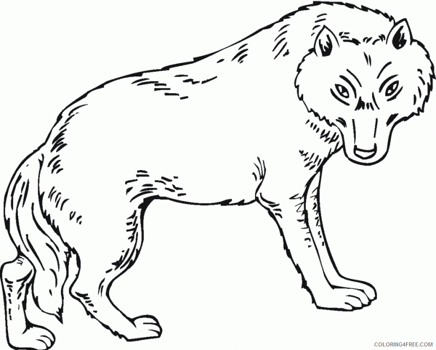 Wolf Coloring Sheets Animal Coloring Pages Printable 2021 4605 Coloring4free