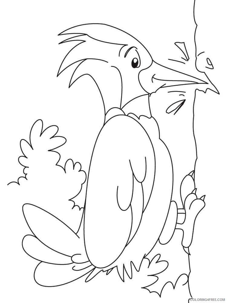 Woodpeckers Coloring Pages Animal Printable Sheets Woodpeckers birds 13 2021 5083 Coloring4free