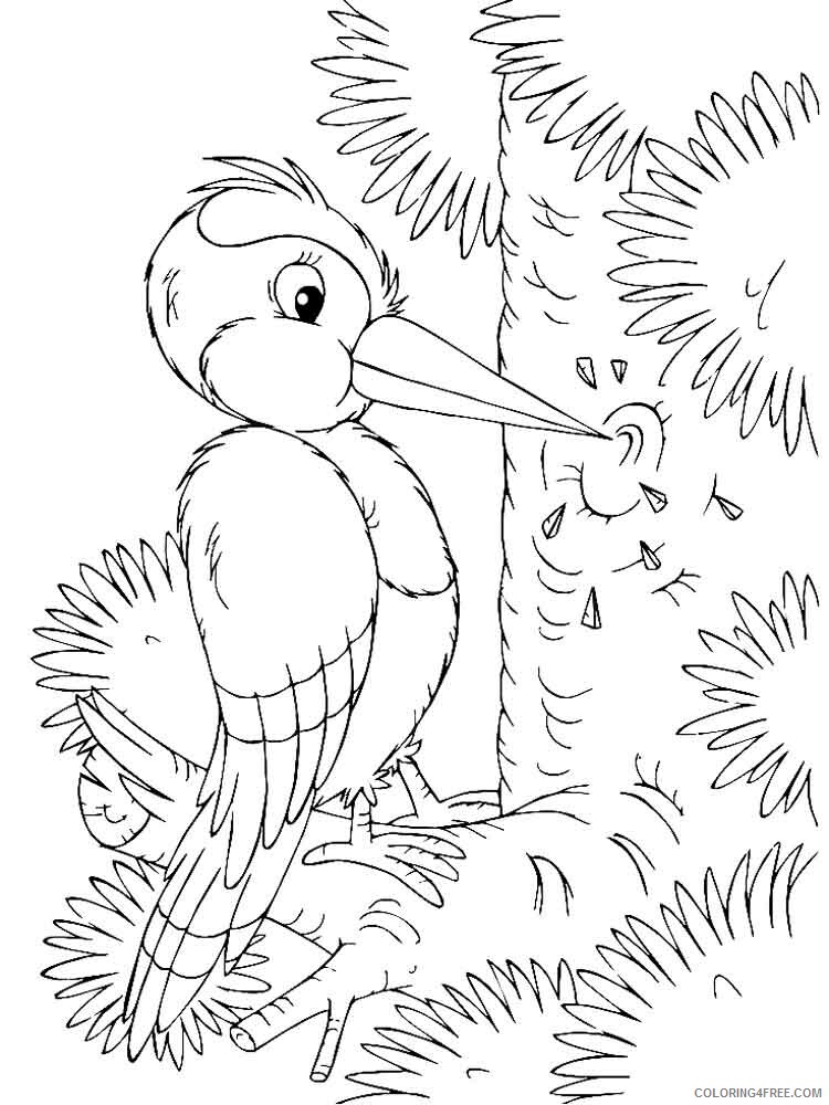 Woodpeckers Coloring Pages Animal Printable Sheets Woodpeckers birds 6 2021 5088 Coloring4free