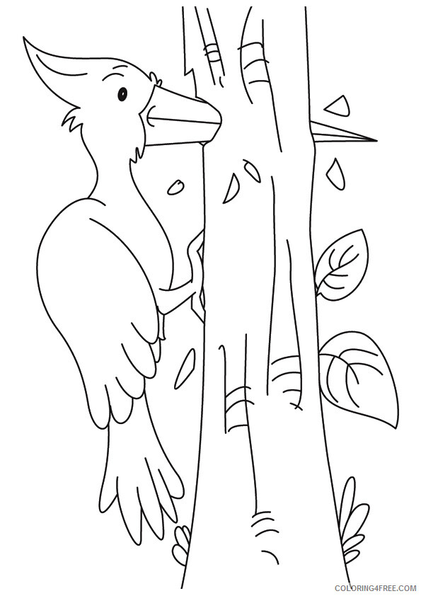 Woodpeckers Coloring Pages Animal Printable Sheets the woodpecker 2021 5080 Coloring4free