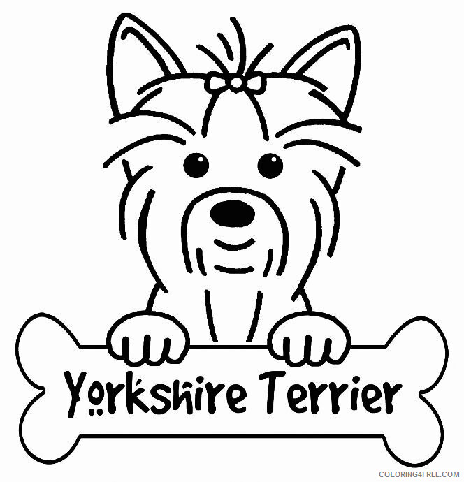 Yorkshire Terrier Coloring Pages Animal Printable Sheets 2021 5089 Coloring4free