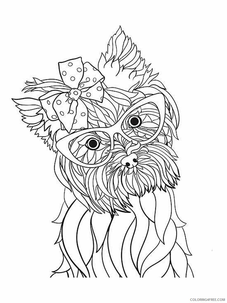 Yorkshire Terrier Coloring Pages Animal Printable Sheets 2021 5091 Coloring4free