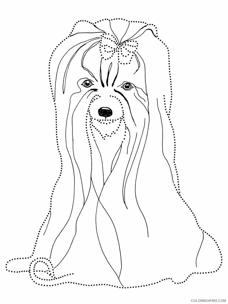 Yorkshire Terrier Coloring Pages Animal Printable Sheets 2021 5093 Coloring4free