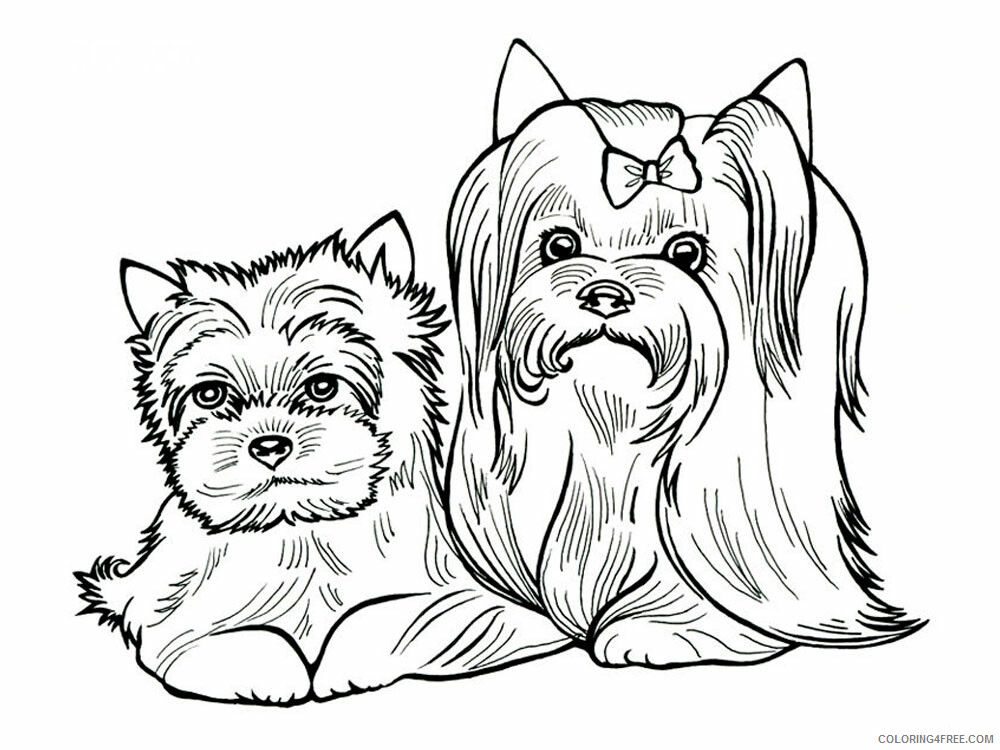 Yorkshire Terrier Coloring Pages Animal Printable Sheets 2021 5094 Coloring4free
