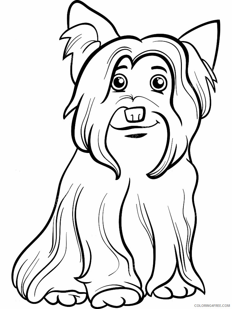 Yorkshire Terrier Coloring Pages Animal Printable Sheets 2021 5095 Coloring4free