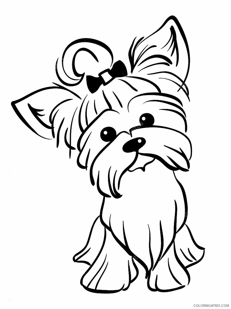 Yorkshire Terrier Coloring Pages Animal Printable Sheets 2021 5096 Coloring4free