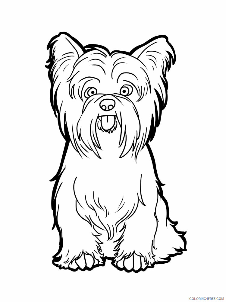 Yorkshire Terrier Coloring Pages Animal Printable Sheets 2021 5097 Coloring4free
