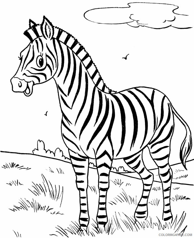 Zebra Printable Sheets Cute Zebra 2021 5104 Coloring4free