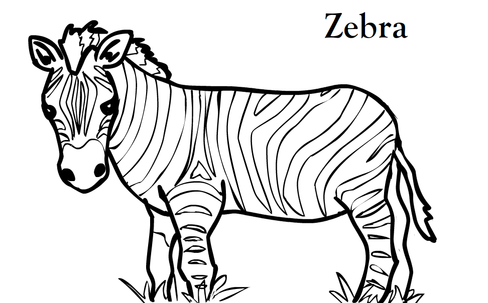 Zebra Printable Sheets Zebra 2021 5116 Coloring4free