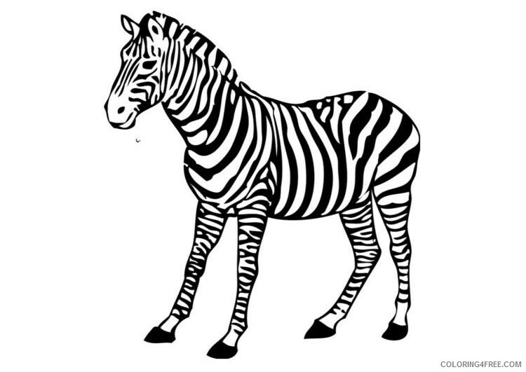 Zebra Printable Sheets Zebra 2021 5117 Coloring4free