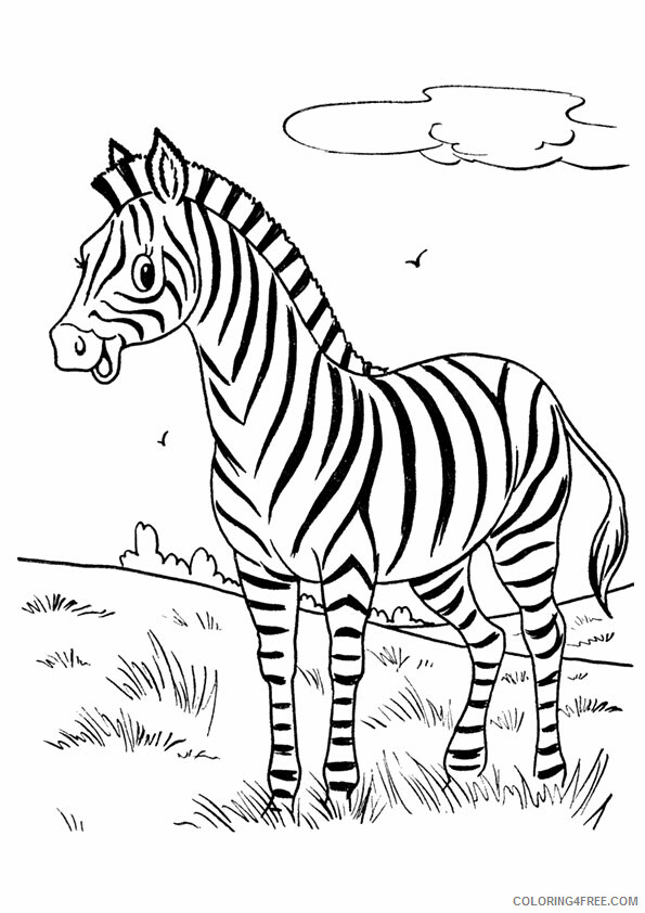 Zebra Printable Sheets the cute zebra 2021 5109 Coloring4free