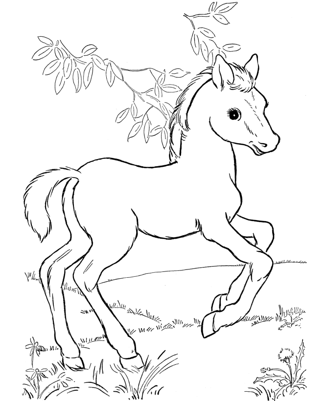 1 Random Coloring Page Printable Sheets printable horse for 2021 09 037 Coloring4free
