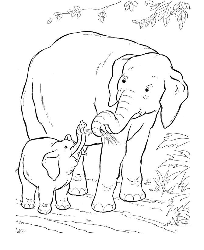 1000 Free Coloring Pages Printable Sheets sheets of elephants For 2021 09 167 Coloring4free