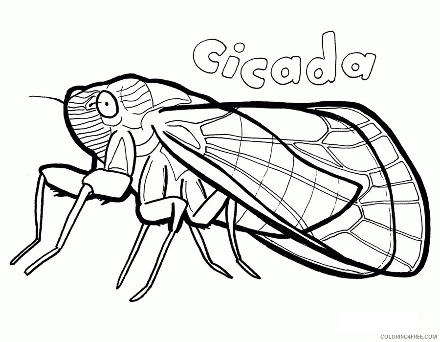 1st Grade Coloring Pages Printable Sheets cicada jpg 2021 09 406 Coloring4free