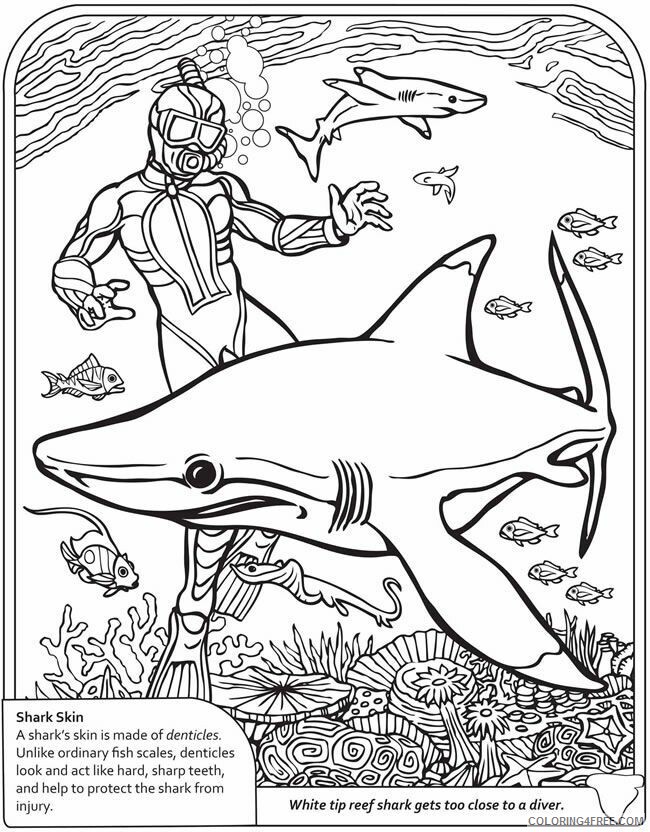 2nd Grade Coloring Pages Printable Sheets Sharks jpg 2021 09 505 Coloring4free