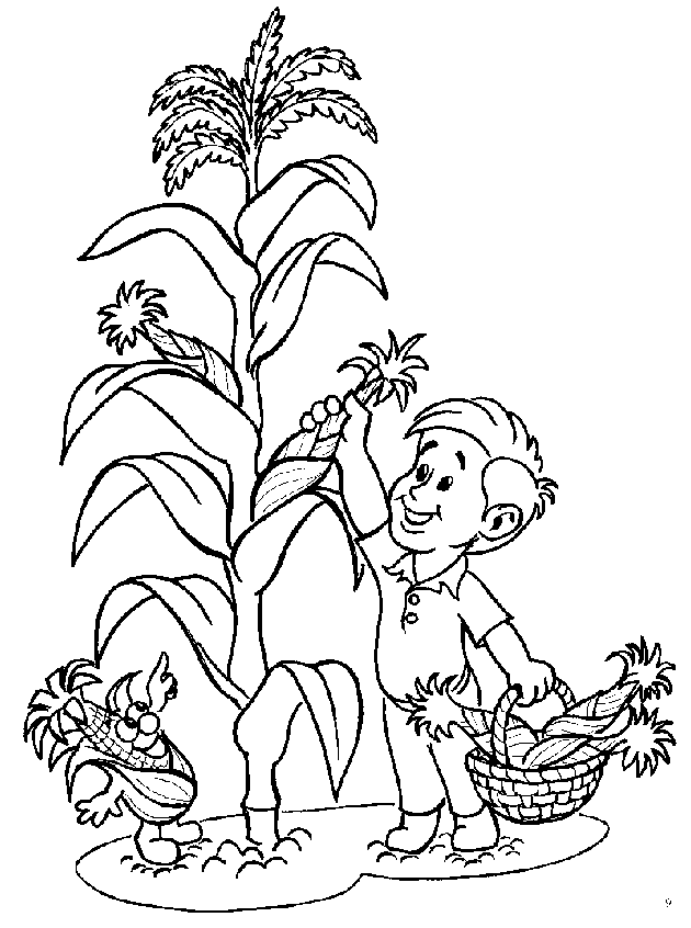 6th Grade Coloring Pages Printable Sheets corn plant page Google 2021 09 814 Coloring4free