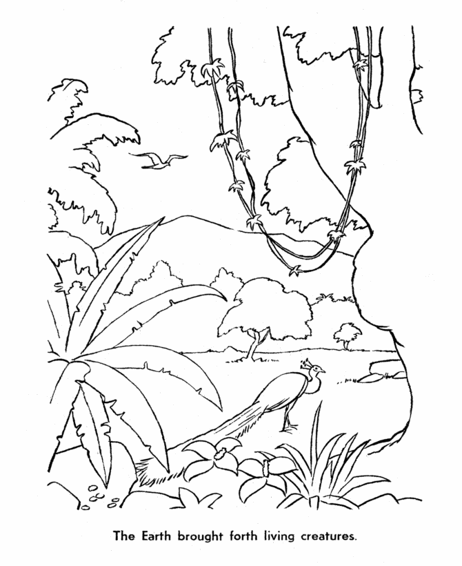 7 Days of Creation Coloring Pages 6th day of creation Colouring 2021 09 Coloring4free