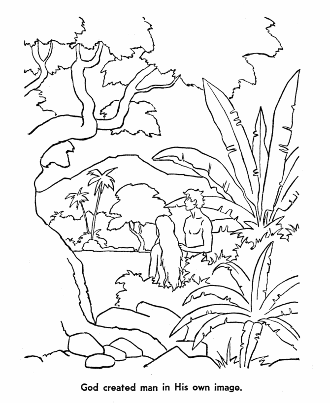 7 Days of Creation Coloring Pages Bible Printables Creation Pages 2021 09 838 Coloring4free