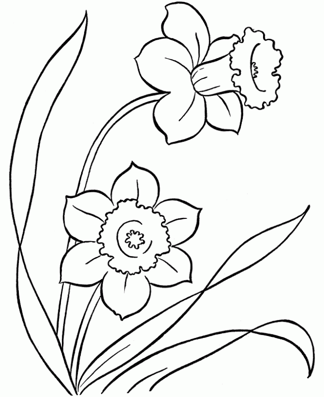 A Cartoon Flower Printable Sheets Flower That You 2021 a 0135 Coloring4free