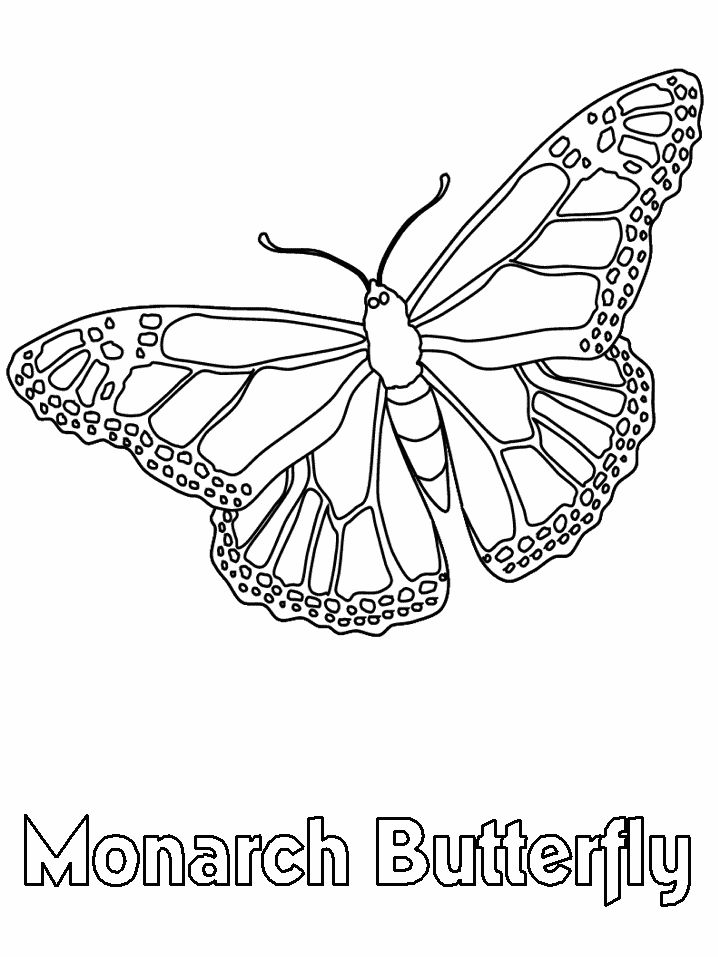 A Coloring Page of a Butterfly Printable Sheets Butterfly Activity for 2021 a 0181 Coloring4free