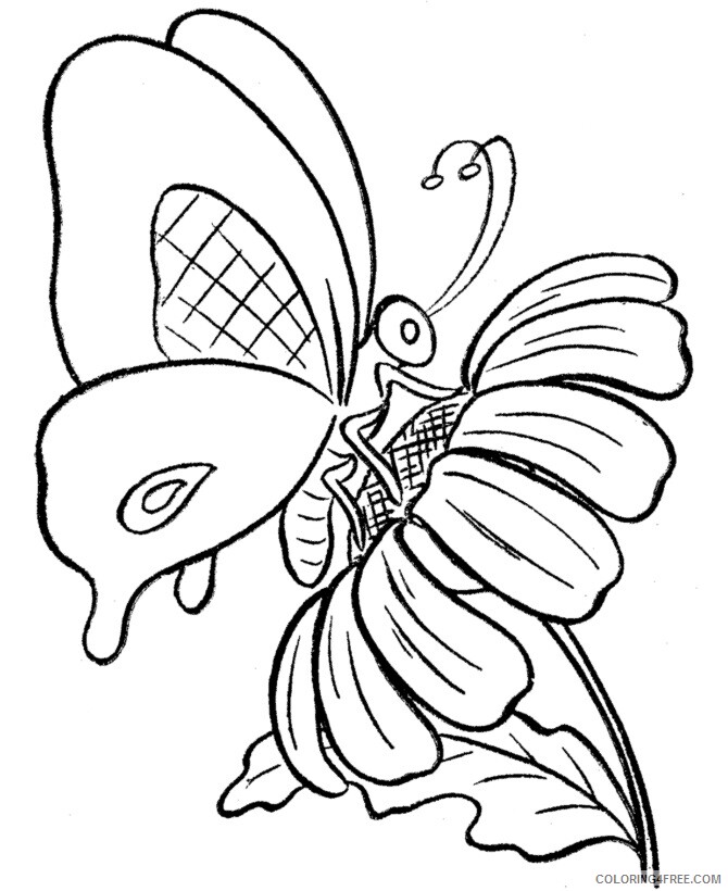 A Coloring Page of a Butterfly Printable Sheets Butterfly Butterfly coloring 2021 a 0183 Coloring4free