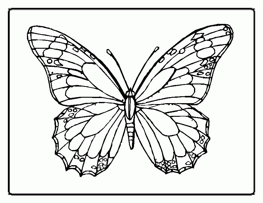 A Coloring Page of a Butterfly Printable Sheets Butterfly Free Coloring 2021 a 0186 Coloring4free