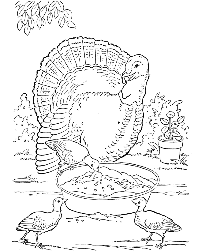 A Pic of a Turkey Printable Sheets Farm Animal Farm 2021 a 0246 Coloring4free