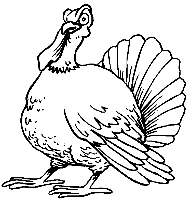 A Pic of a Turkey Printable Sheets Free Printable Turkey Pages 2021 a 0249 Coloring4free