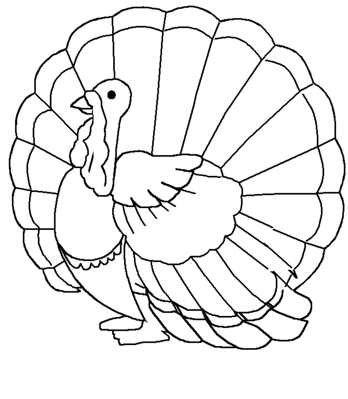 A Pic of a Turkey Printable Sheets Free Printable Turkey Pages 2021 a 0250 Coloring4free