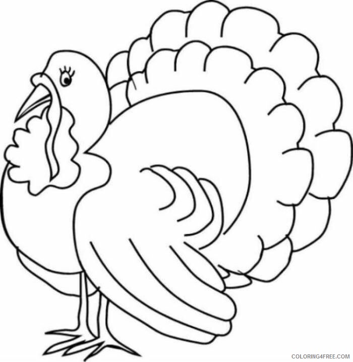 A Pic of a Turkey Printable Sheets Thanksgiving Turkey Page 1 2021 a 0261 Coloring4free
