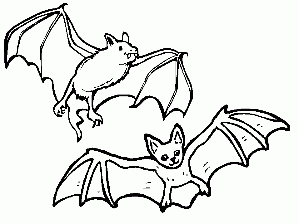 A Picture of a Bat Printable Sheets Free Printable Bat Pages 2021 a 0278 Coloring4free