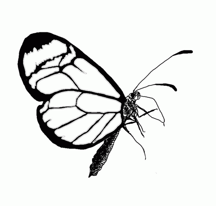 A Picture of a Butterfly Printable Sheets Flower With Butterfly Drawings gif 2021 a 0288 Coloring4free